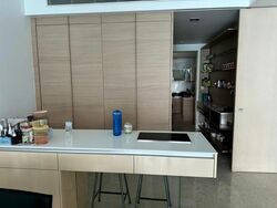The Azure (D4), Condominium #501866231